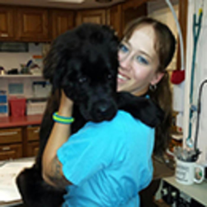 Meet the Team Green Lane Veterinary Hospital